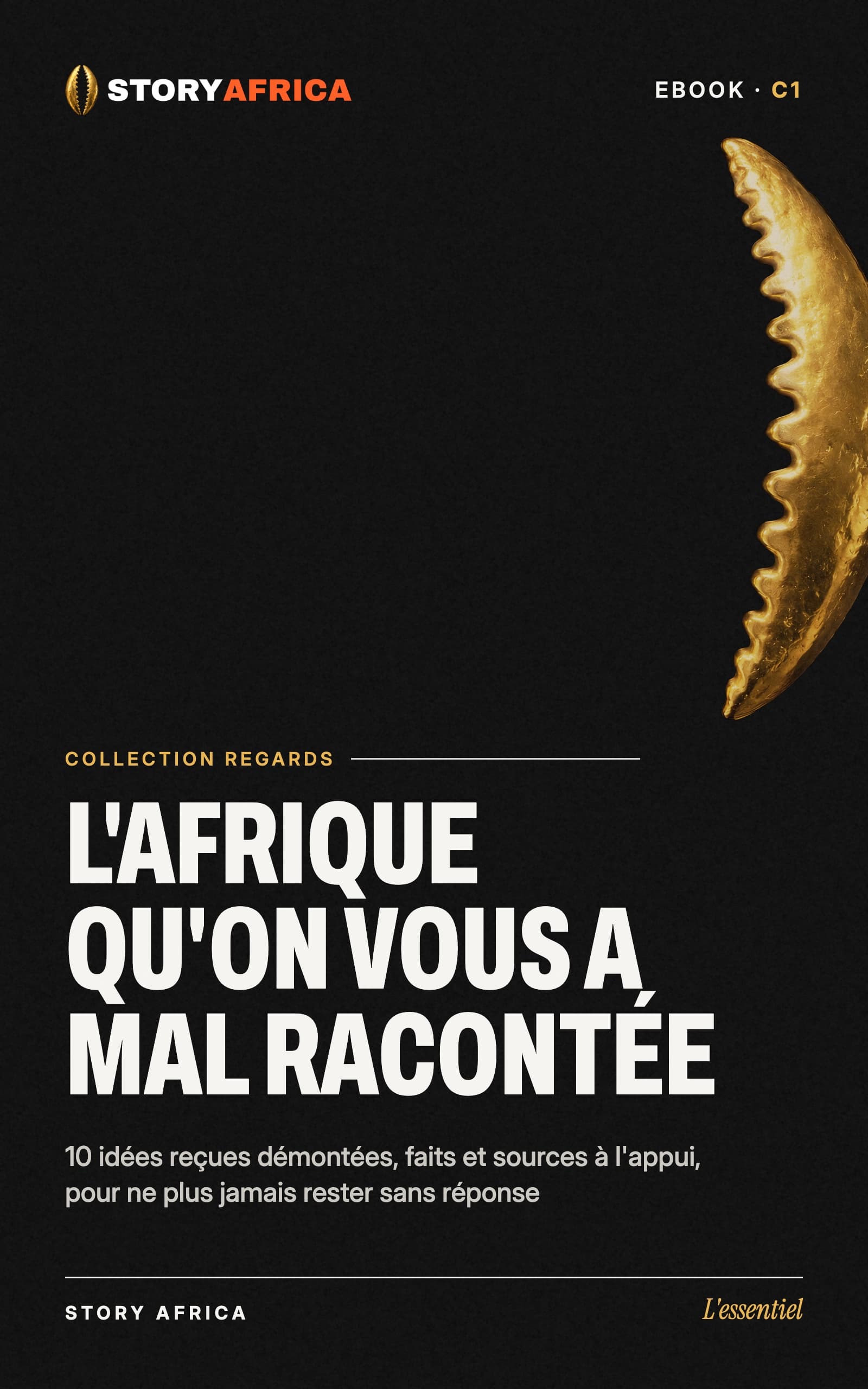L'Afrique qu'on vous a mal racontée